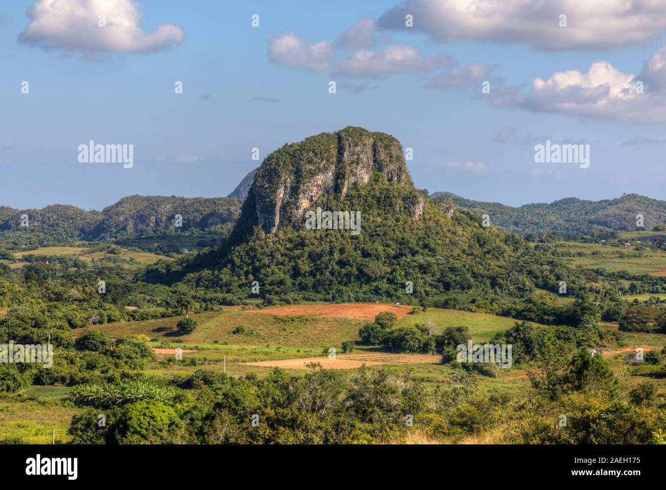 Vinales Pinar del Rio, Kuba, Nordamerika Stockfoto