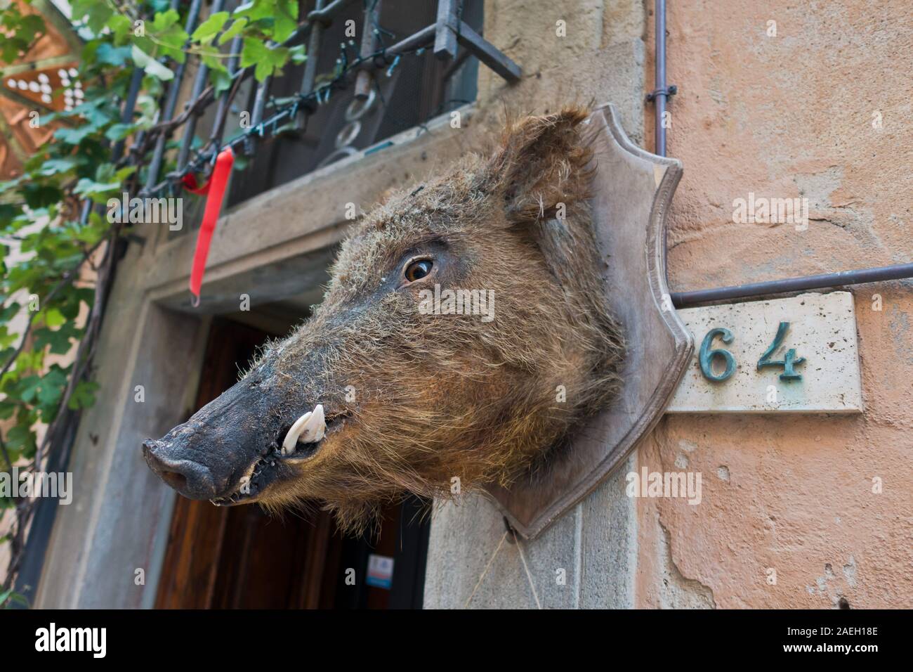 Wildschweine als Lieblingsessen, Detail aus einem kleinen Restaurant in Volterra, Toskana, Italien Stockfoto
