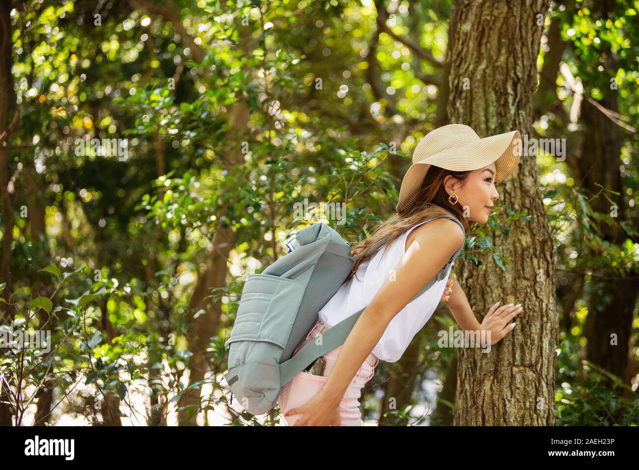 Japanische Frau mit Hut und der Rucksack steht unter dem Baum. Stockfoto