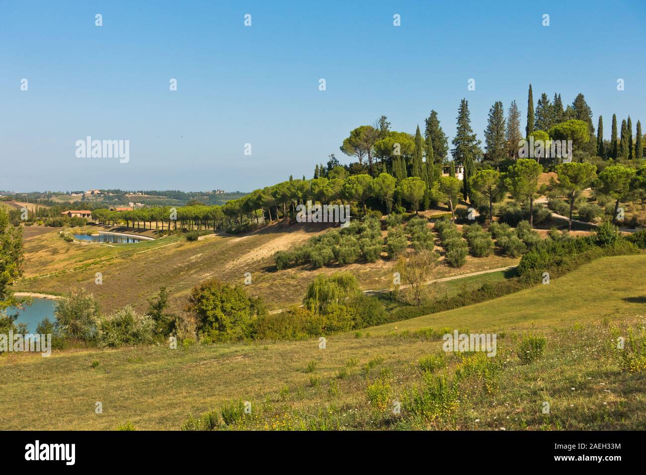 Wandern Hügel, backroads und Weinberge im Herbst, in der Nähe von San Gimignano in der Toskana, Italien Stockfoto