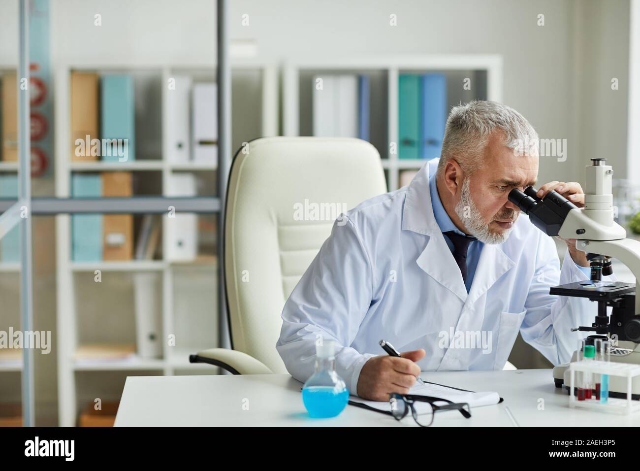 Leitender Chemiker im weißen Mantel sitzt an seinem Arbeitsplatz und suchen durch das Mikroskop im Labor Stockfoto