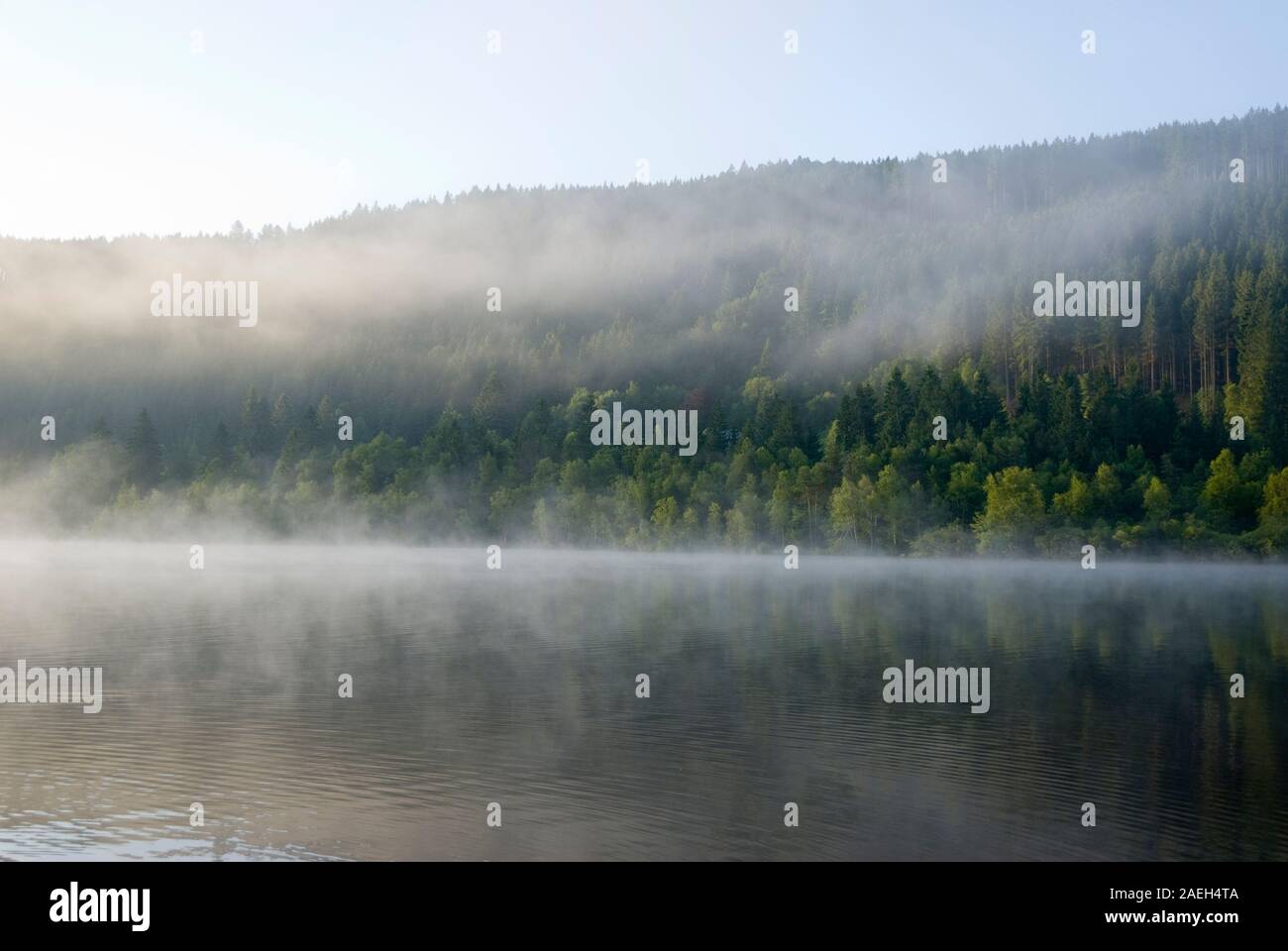 Bodennebel über Wasser, See am frühen Morgen bei Sonnenaufgang, Titisee, Deutschland Stockfoto