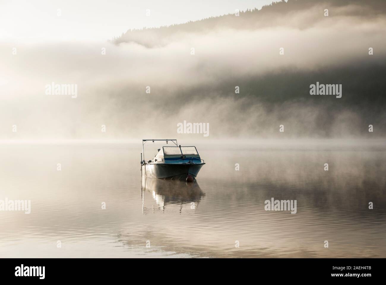 Bodennebel in Titisee mit einem Schnellboot, frühen Morgen Sonnenaufgang, Deutschland Stockfoto