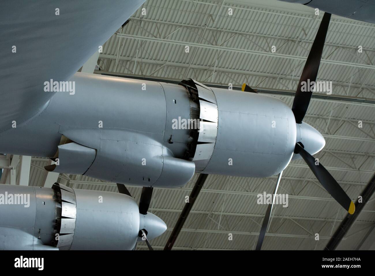 Die Fichte Gans im Evergreen Aviation and Space Museum in Oregon Stockfoto