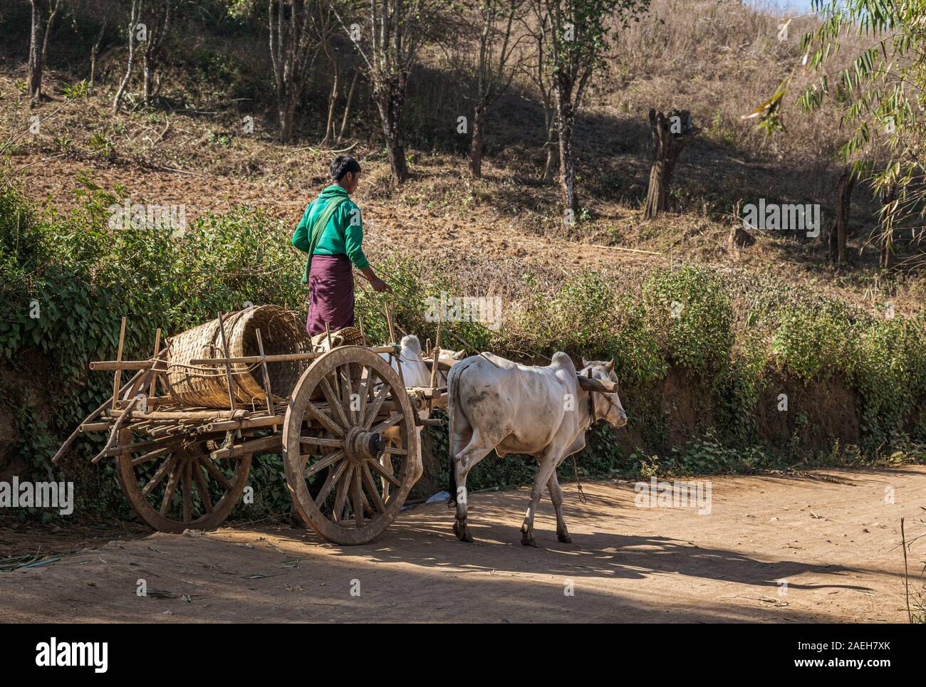 Die jungen burmesischen Bauern tragen traditionelle Outfit (longyi) Reiten ein ochsenkarren auf der staubigen Straße in der Nähe von Kalaw. Stockfoto