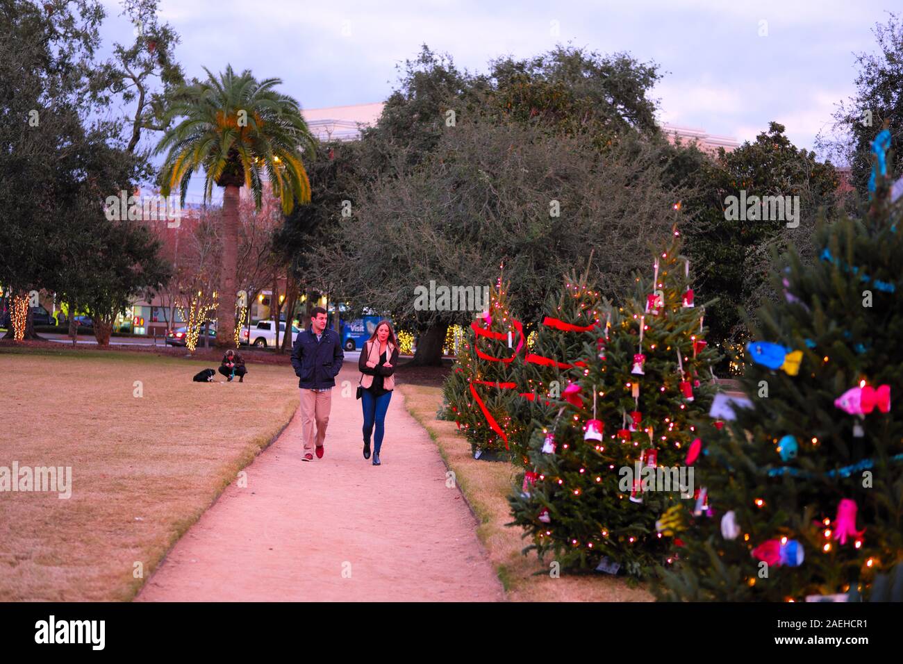 Weihnachtsbeleuchtung an einen öffentlichen Platz mit einem Pfade und Mehrfarbige Dekorative Leuchten und Weihnachtsbäume und Red Ribbon Bögen Stockfoto