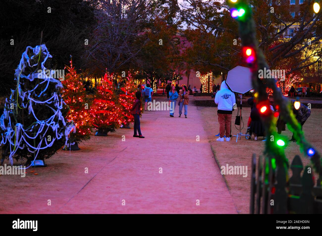 Weihnachtsbeleuchtung an einen öffentlichen Platz mit einem Pfade und Mehrfarbige Dekorative Leuchten und Weihnachtsbäume und Red Ribbon Bögen Stockfoto