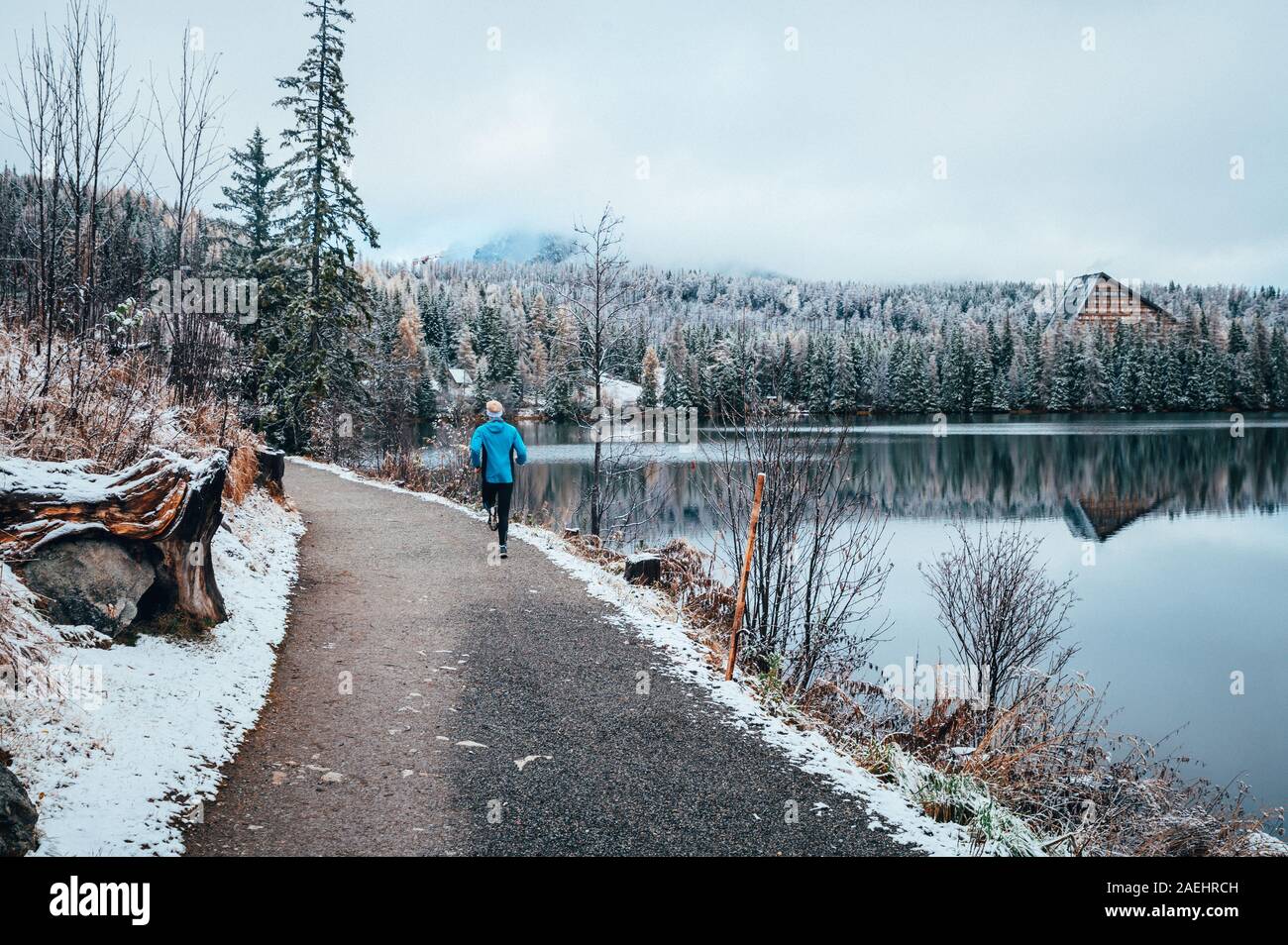 Ausbildung in weiß winter natur, gefrorene Landschaft am See. Stockfoto