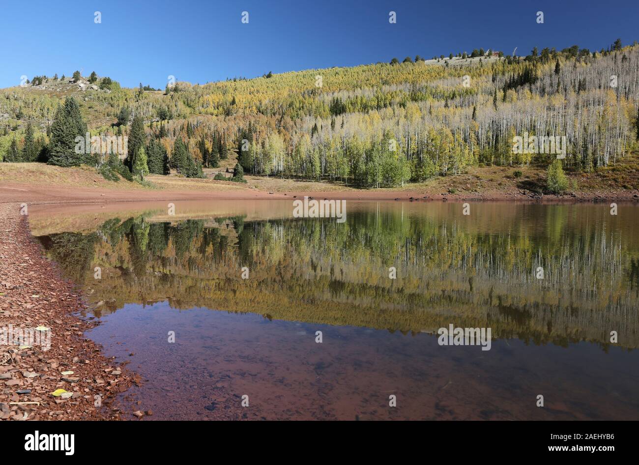 Wüst See im Herbst, Big Cottonwood Canyon, Utah Stockfoto
