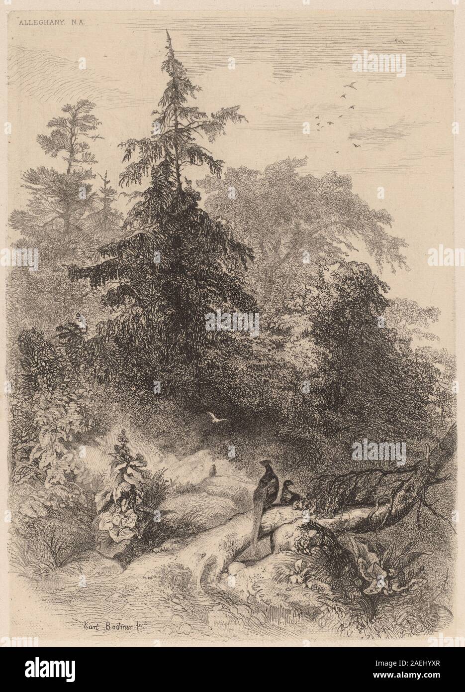 Les Faisans, gemalt von Karl Bodmer, stellt Fasane in einer natürlichen Landschaft dar und betont realistische Details und naturalistische Farben, die für Bodmers Werk aus dem 19. Jahrhundert charakteristisch sind. Stockfoto
