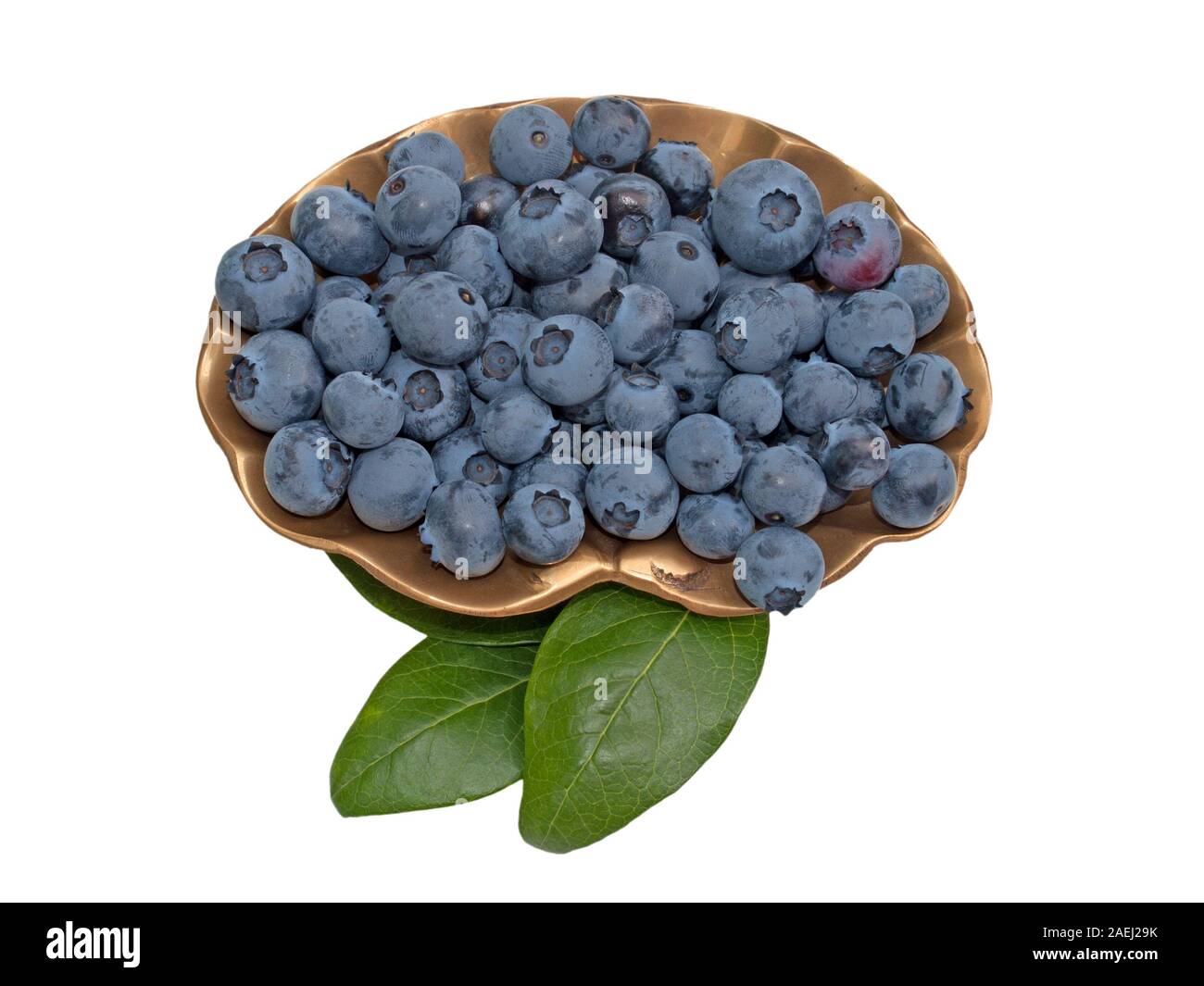 Heidelbeeren in eine Schüssel vor weißem Hintergrund Stockfoto
