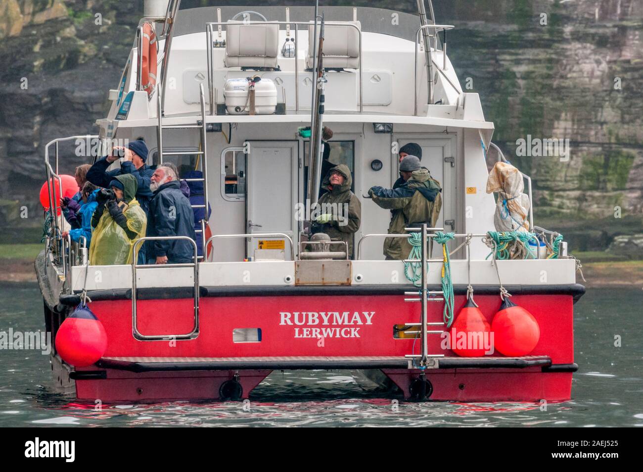 Die Wildlife Watching Boot MV Rubymay Lerwick am Fuße des Noss Klippen, Teil der Noss National Nature Reserve, in Shetland. Stockfoto