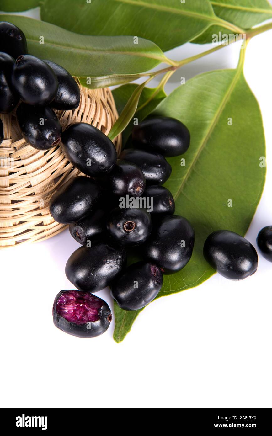 Jambolan Pflaume oder Java Pflaume (Syzygium cumini Stockfotografie Alamy