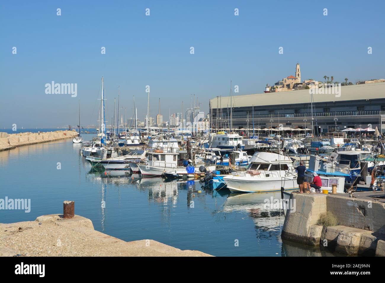 Der Hafen und die Altstadt von Jaffa in Tel Aviv. Die Küste des Mittelmeers in Israel. Stockfoto