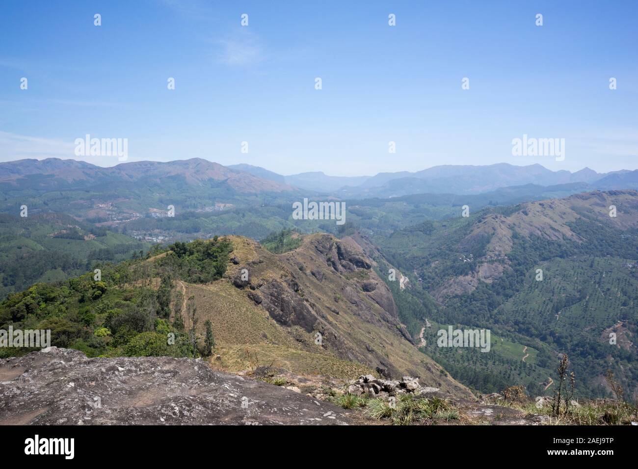 Hügeln über Munnar Tee Plantagen, Kerala, Indien Stockfoto