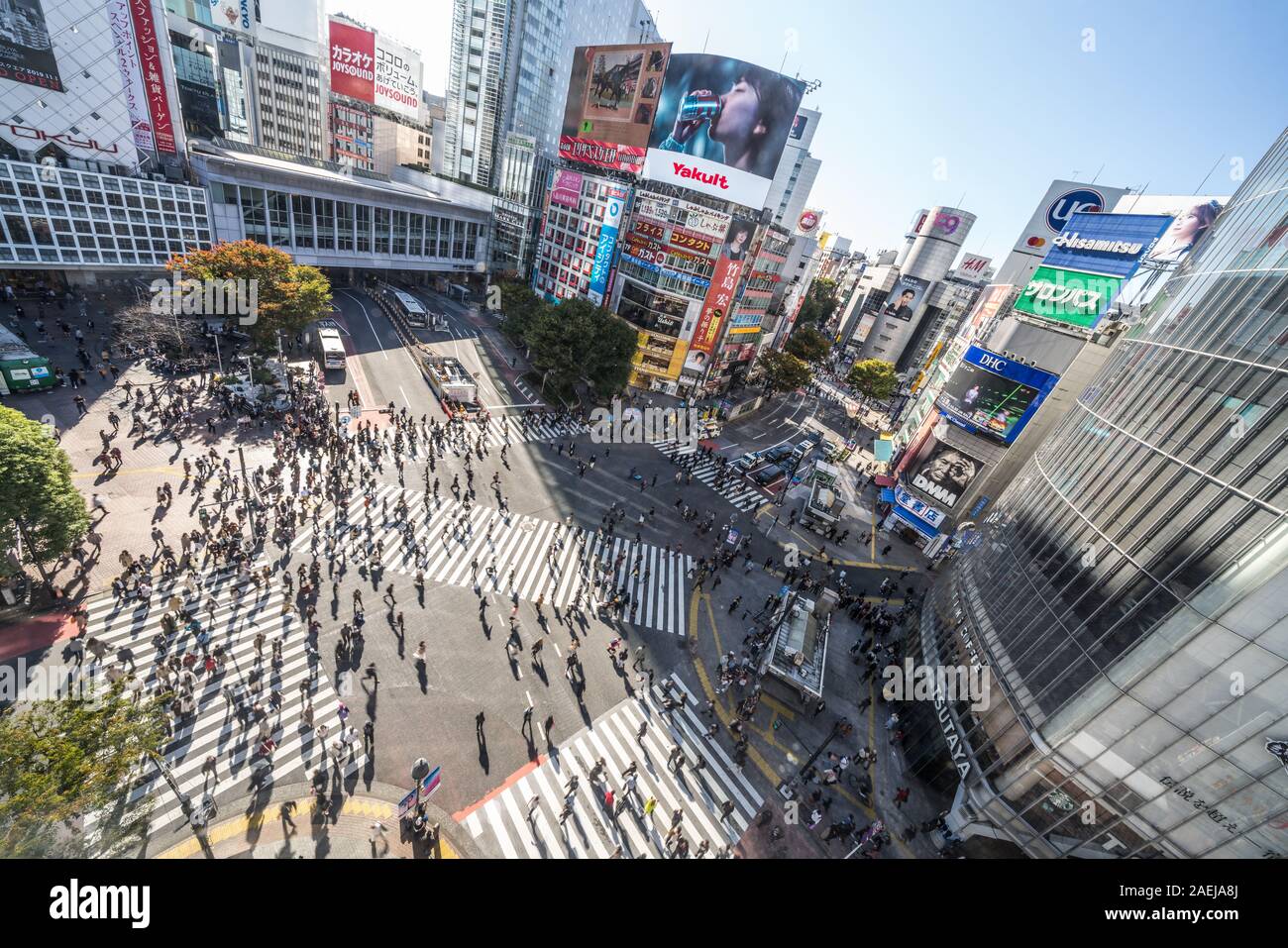 Tokyo, Japan - 5 November 2019: Voll Menschen zu Fuß, Auto Verkehr auf Shibuya scramble Crossing, hohe Blickwinkel betrachten. Tokio Touristenattraktion, Japan Tourismus Stockfoto