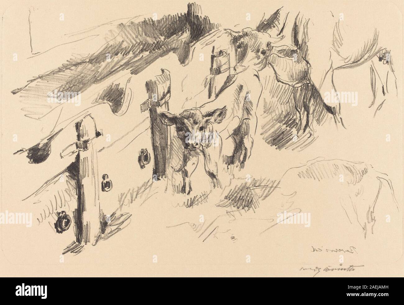 Lovis Corinth, Kälber (Kälber), 1912 Kälber (Kälber); 1912 Datum Stockfoto