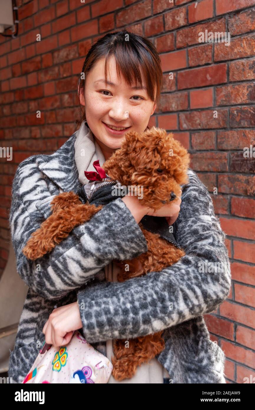 Portrait von modische junge Frau mit Hund, Shanghai, China Stockfoto