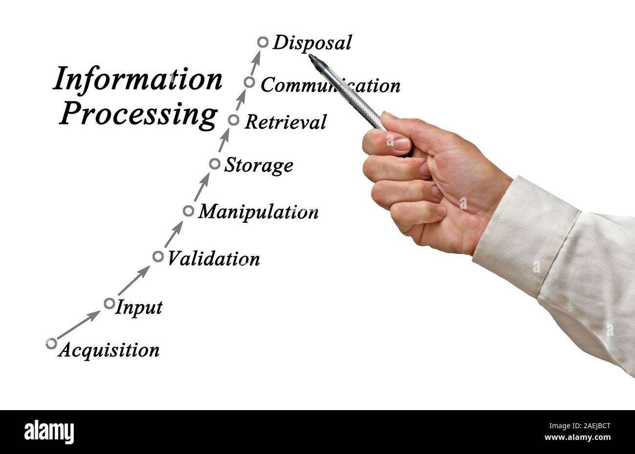 Informationsverarbeitung Stockfoto