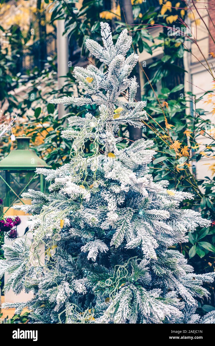 White Pine Tree mit bunten Blättern und Kugeln dekoriert Stockfoto