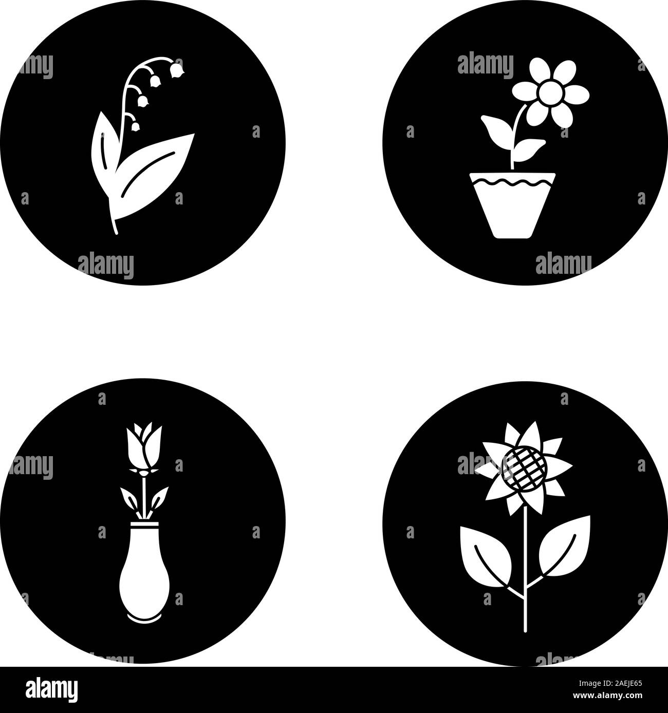 Blumen Glyphe Symbole gesetzt. Maiglöckchen, Krokus im Blumentopf, Rose In Vase, Sonnenblume. Vektor weisse Silhouetten Abbildungen in schwarzen Kreisen Stock Vektor