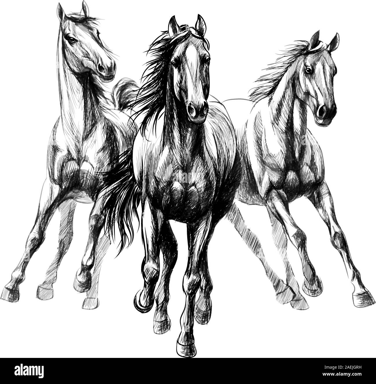 Drei Pferde laufen Galopp auf weißem Hintergrund, handgezeichnete Skizze. Vector Illustration von Farben Stock Vektor