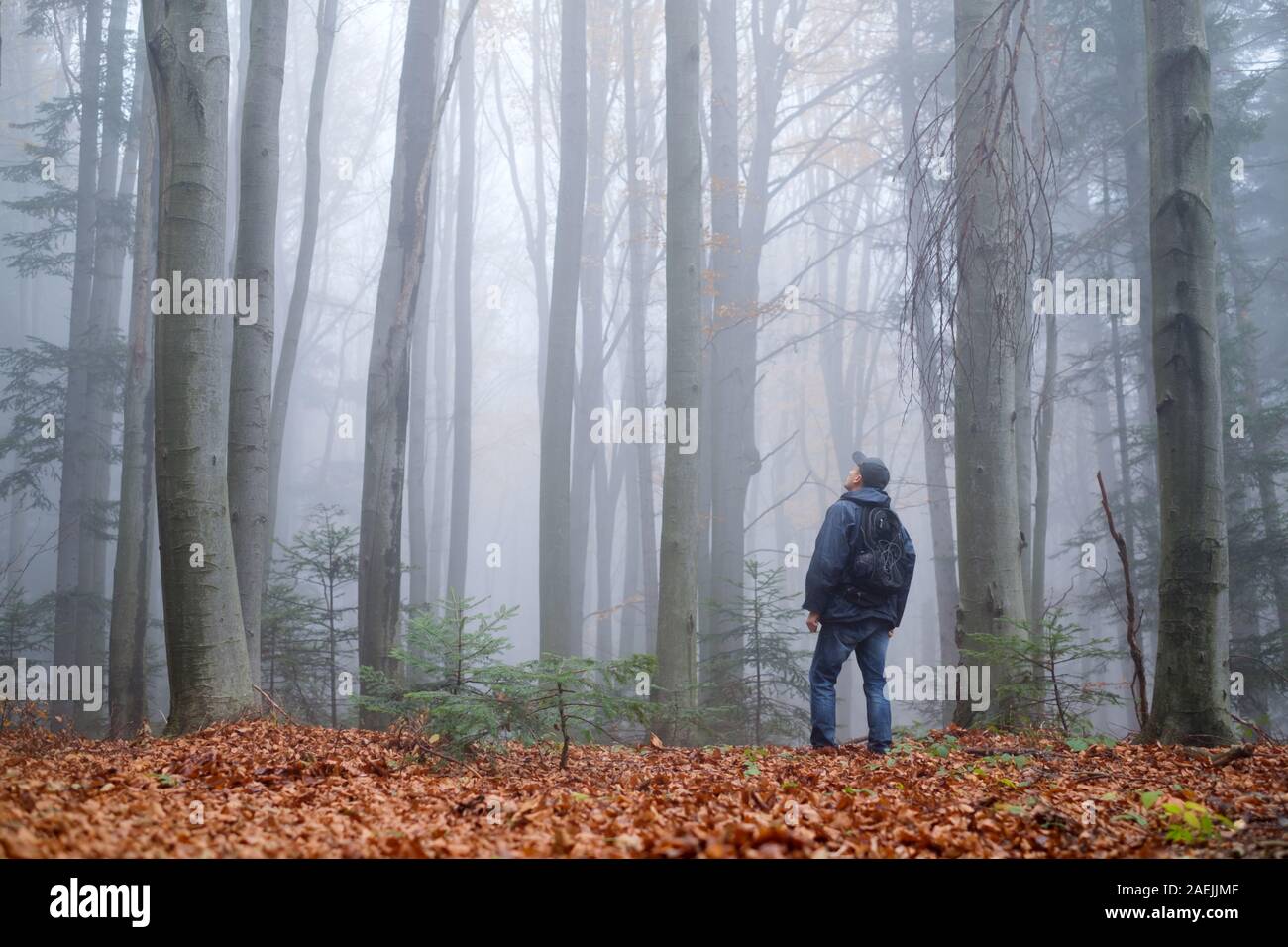 Mann In Die Mysteriose Dunkle Buchenwalder Im Nebel Herbst Morgen In Den Nebligen Waldern Magische Neblige Atmosphare Landschaftsfotografie Stockfotografie Alamy