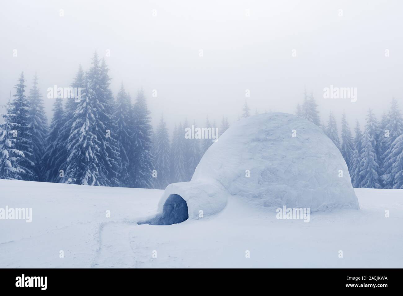 Echten schneeiglu Haus im Winter Berge. Verschneite Tannen auf dem Hintergrund. Nebligen Wald mit schneebedeckten Fichten Stockfoto