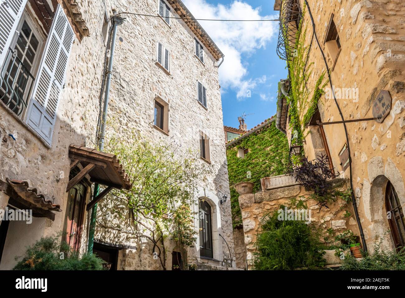 Einen kleinen Innenhof mit Reben und Efeu für den Steinmauern im mittelalterlichen Dorf Tourrettes sur Loup in Süd frankreich. Stockfoto
