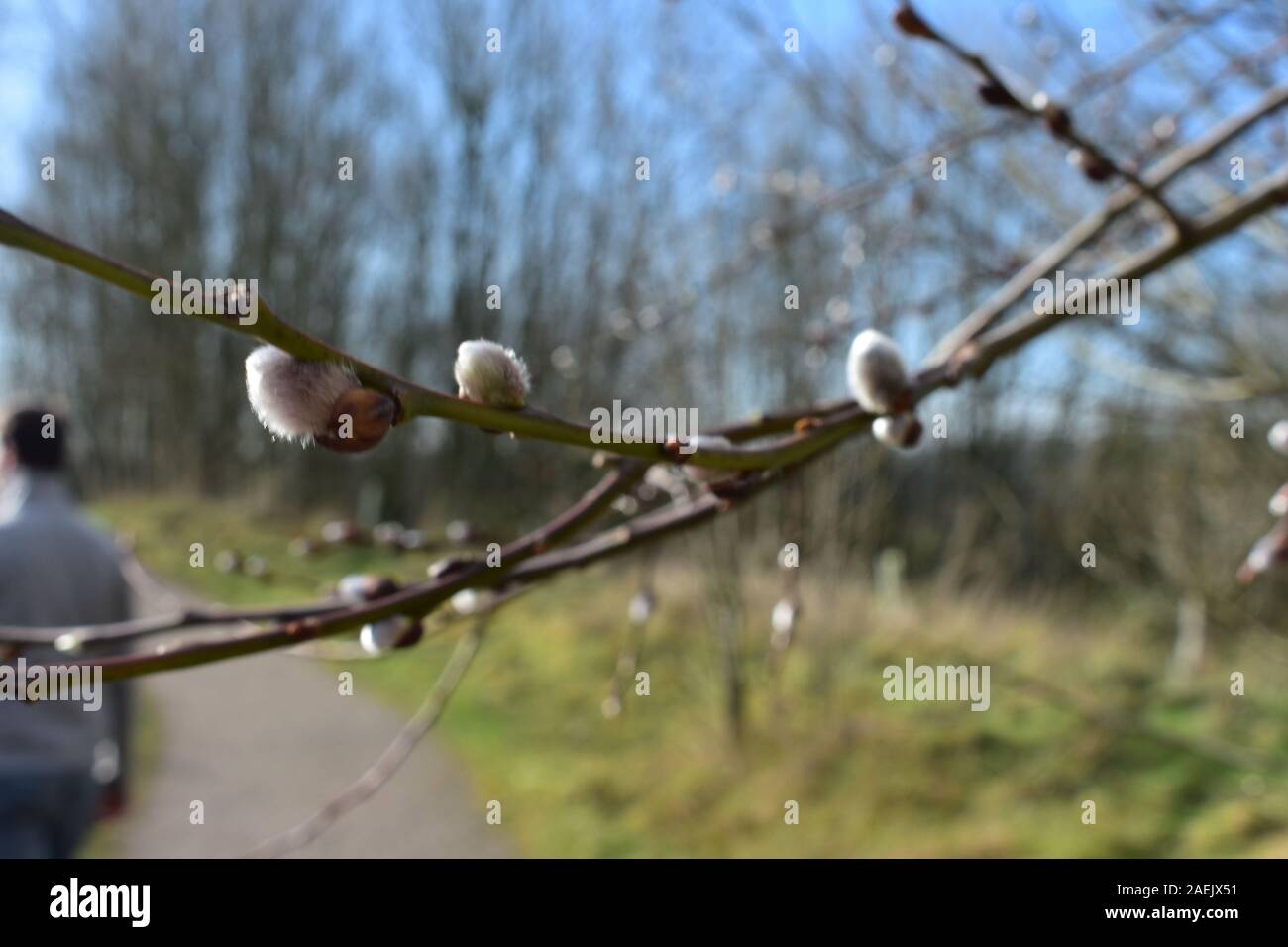 Jahreszeiten ändern Stockfoto