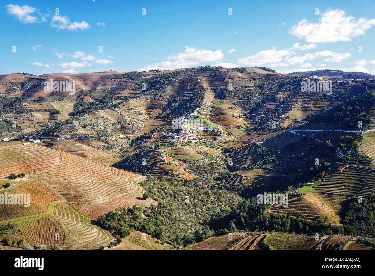 Weinberge entlang der Weinregion Douro Valley, Portugal Stockfoto
