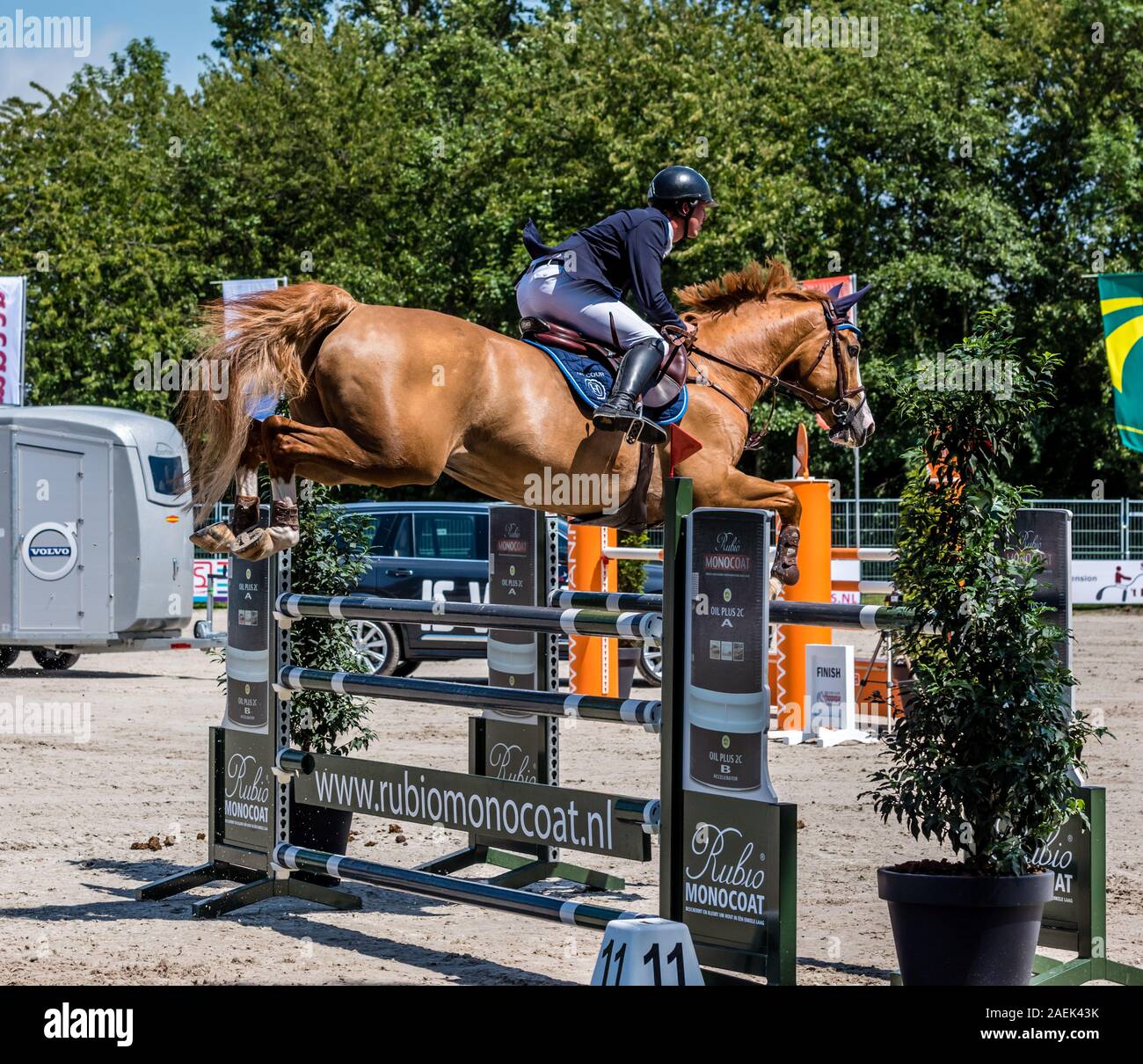 Haarlemmermeer Holland 19 Juni 2019 Concours Hippique Pferd springen Stockfoto