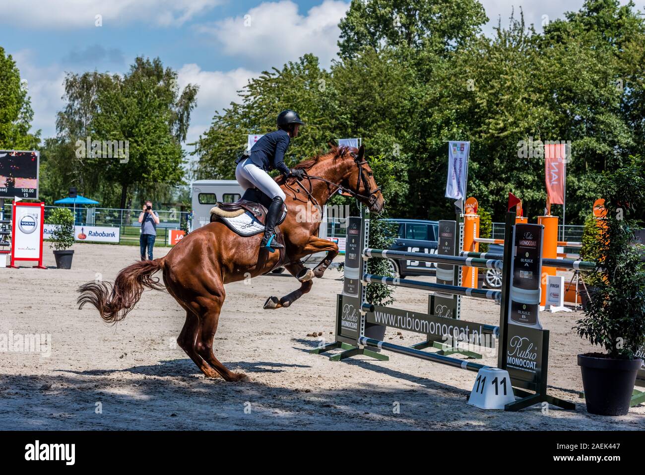 Haarlemmermeer Holland 19 Juni 2019 Concours Hippique Pferd springen Stockfoto