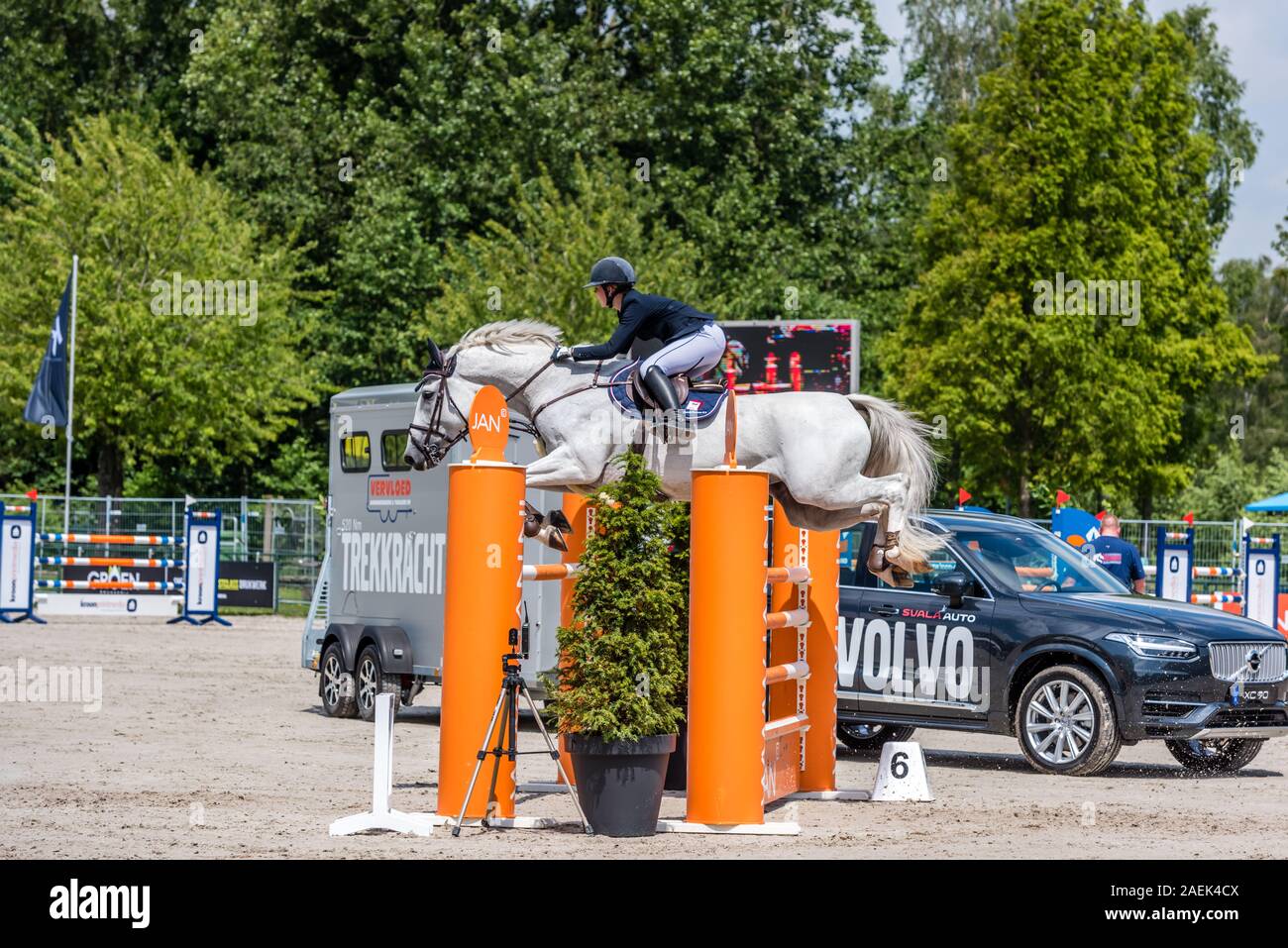 Haarlemmermeer Holland 19 Juni 2019 Concours Hippique Pferd springen Stockfoto