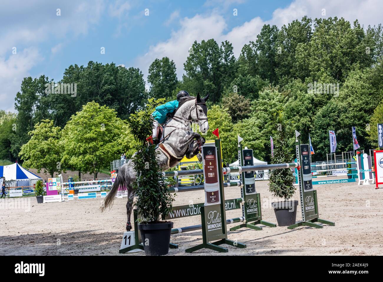 Haarlemmermeer Holland 19 Juni 2019 Concours Hippique Pferd springen Stockfoto