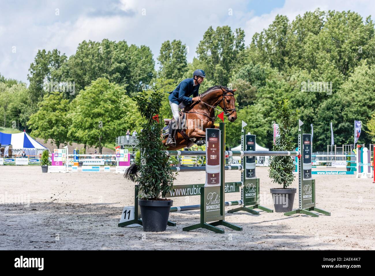 Haarlemmermeer Holland 19 Juni 2019 Concours Hippique Pferd springen Stockfoto
