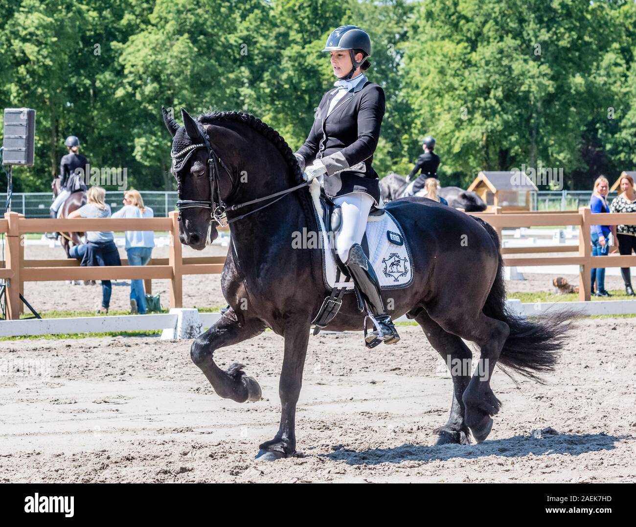 Haarlemmermeer Holland 19 Juni 2019 Concours Hippique Pferd springen Stockfoto