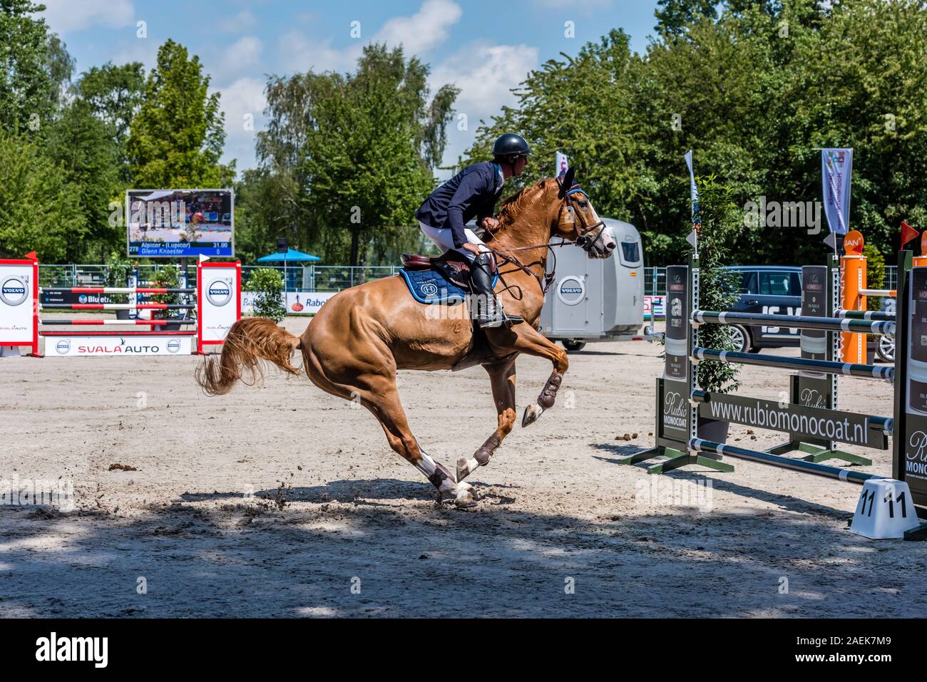 Haarlemmermeer Holland 19 Juni 2019 Concours Hippique Pferd springen Stockfoto