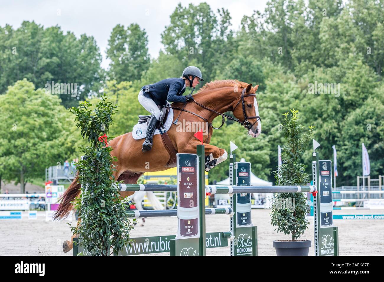 Haarlemmermeer Holland 19 Juni 2019 Concours Hippique Pferd springen Stockfoto