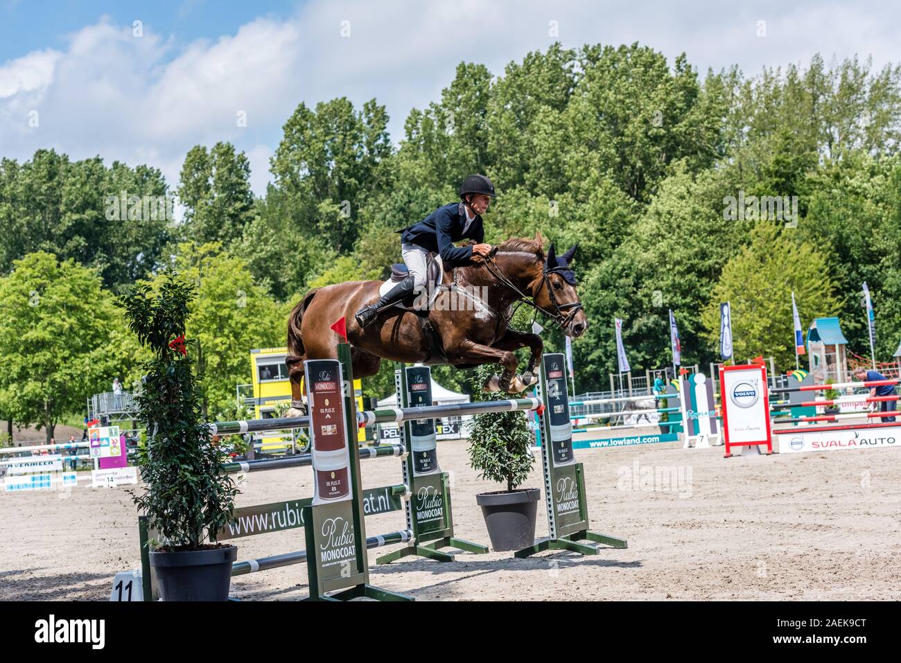 Haarlemmermeer Holland 19 Juni 2019 Concours Hippique Pferd springen Stockfoto