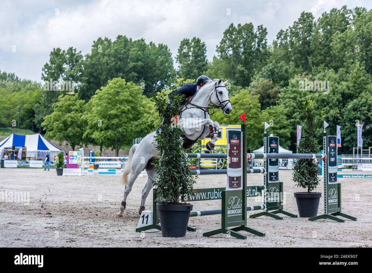 Haarlemmermeer Holland 19 Juni 2019 Concours Hippique Pferd springen Stockfoto