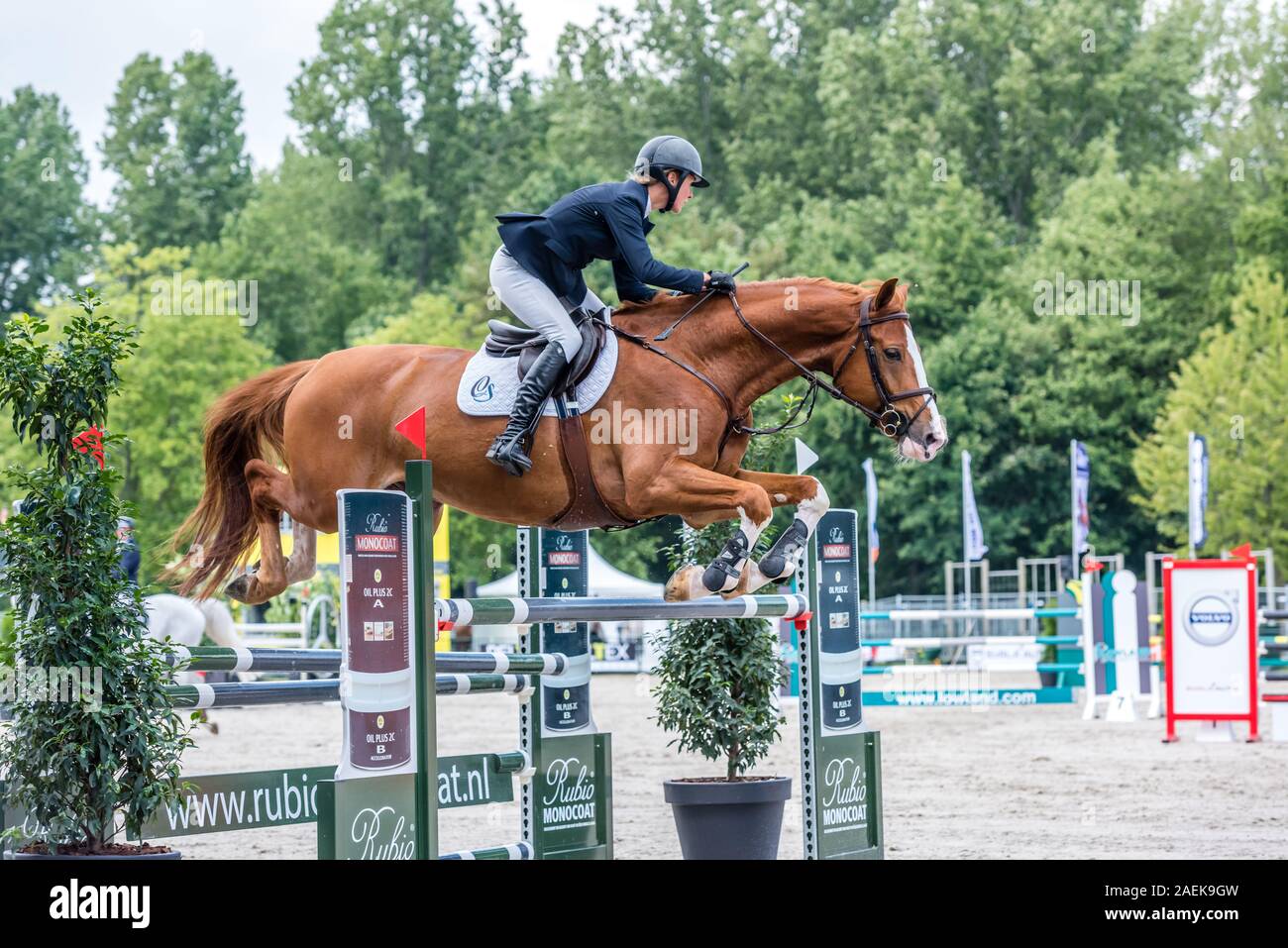 Haarlemmermeer Holland 19 Juni 2019 Concours Hippique Pferd springen Stockfoto