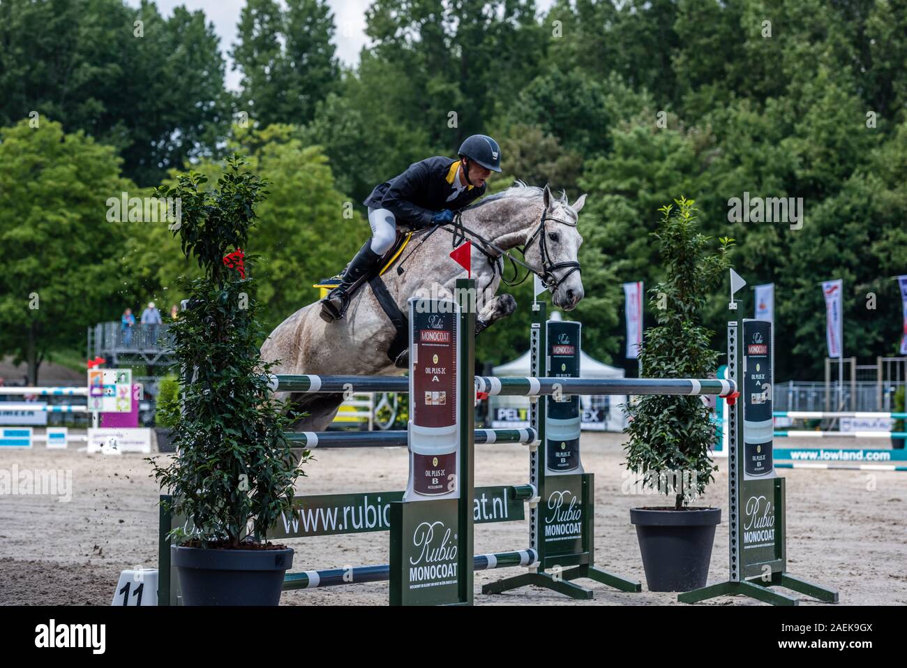 Haarlemmermeer Holland 19 Juni 2019 Concours Hippique Pferd springen Stockfoto