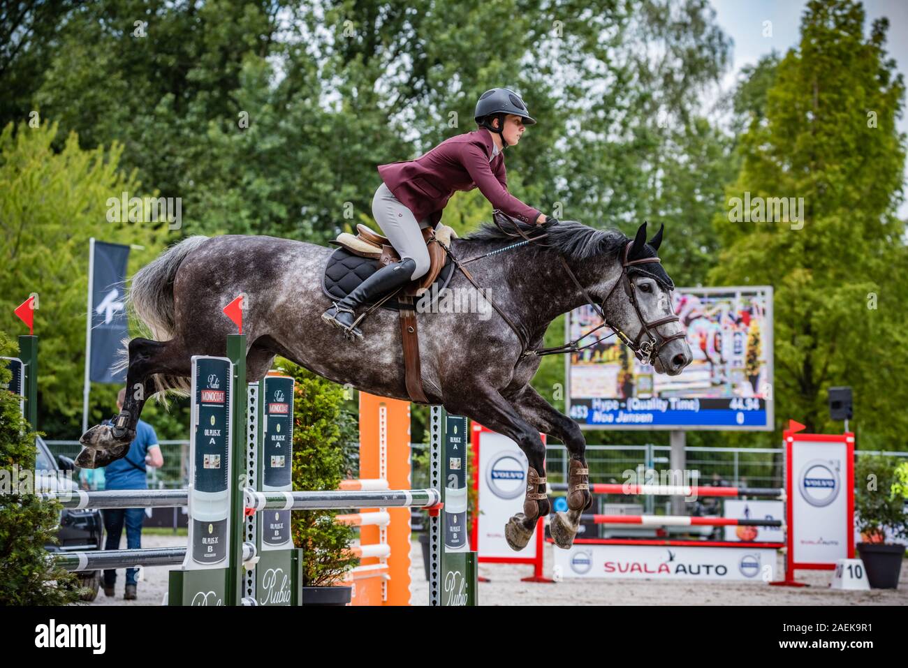 Haarlemmermeer Holland 19 Juni 2019 Concours Hippique Pferd springen Stockfoto