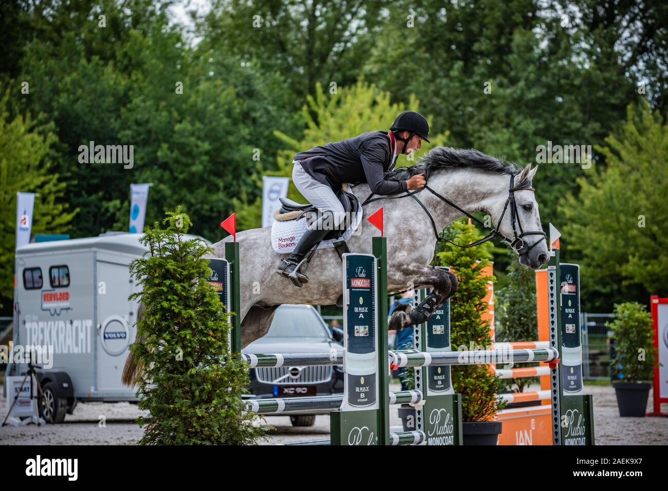 Haarlemmermeer Holland 19 Juni 2019 Concours Hippique Pferd springen Stockfoto