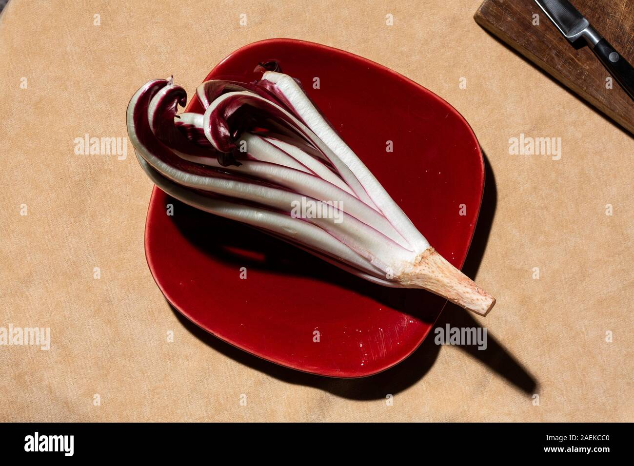 Radicchio tardivo di Treviso - eine Vielzahl von Zichorien aus der Provinz Treviso, Italien, die roh oder gegrillt gegessen werden kann Stockfoto