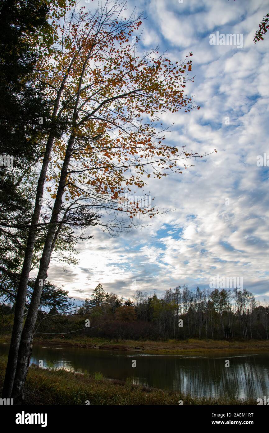Schönen Himmel auf einem Maine Herbst Morgen Stockfoto