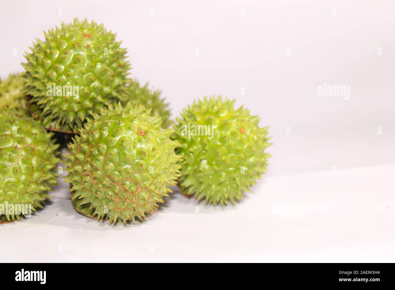 Eine grüne Natur multi Thorn mit unterschiedlichen Anzeigen Stockfoto