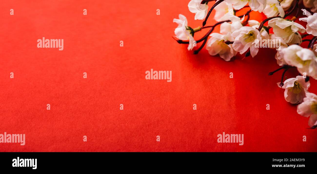 Feder Cherry Blossom Grenze über rotes Papier Hintergrund mit Copyspace. Chinesisches neues Jahr Natur Design. Blumen Dekor für traditionelle asiatische Feder fest Stockfoto