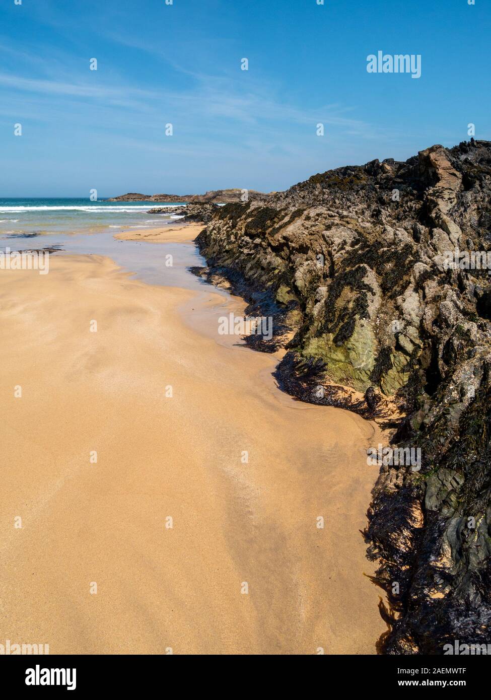 Herrlich goldgelben Sandstrand von Kiloran Strand im Sommer, von der Insel Colonsay, Innere Hebriden, Argyll und Bute, Schottland, Großbritannien Stockfoto